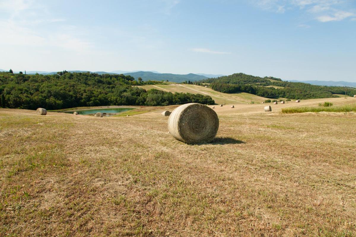 Bed and Breakfast I Quattro Elementi Вольтерра Экстерьер фото